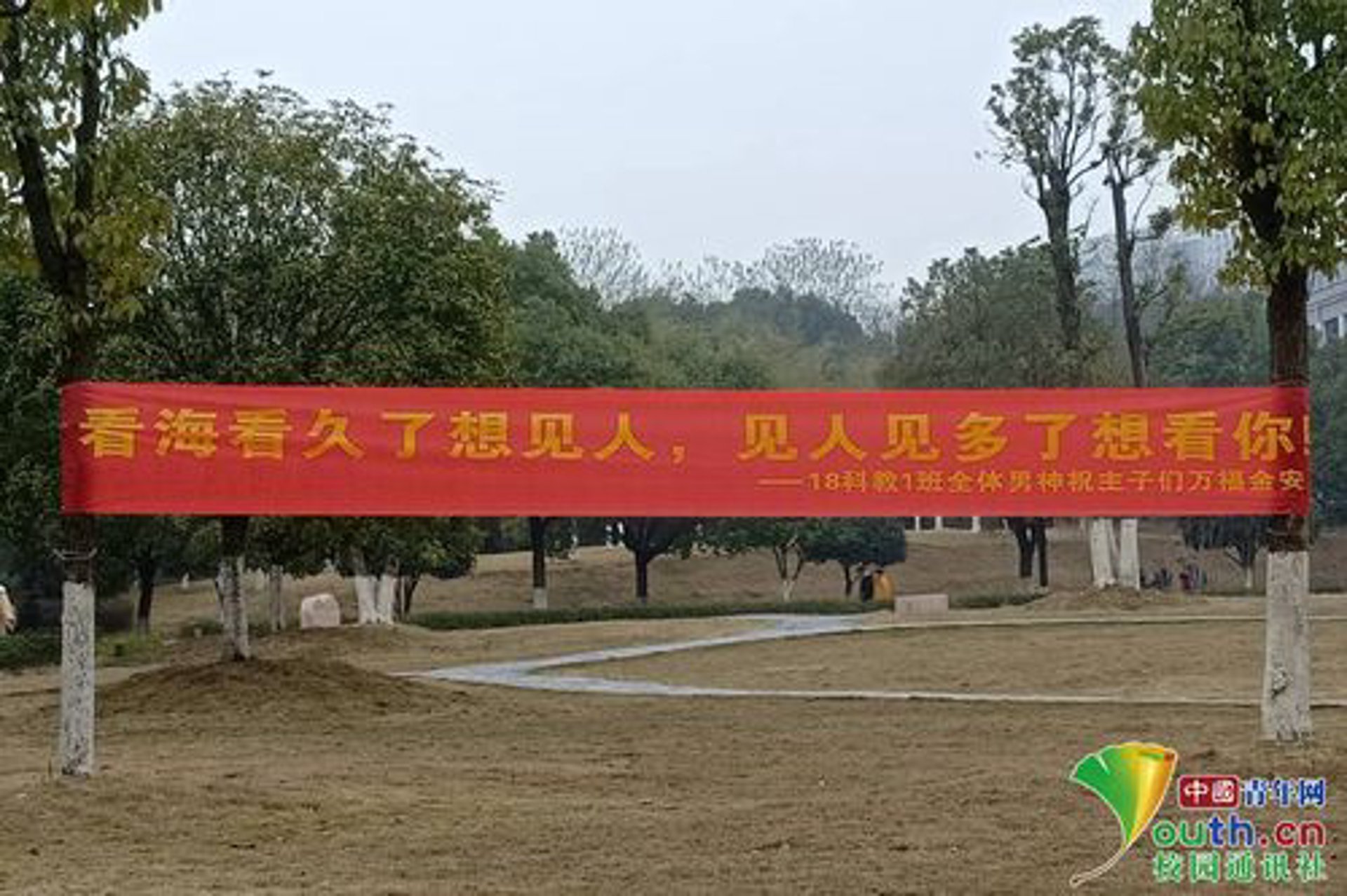 亿妈网